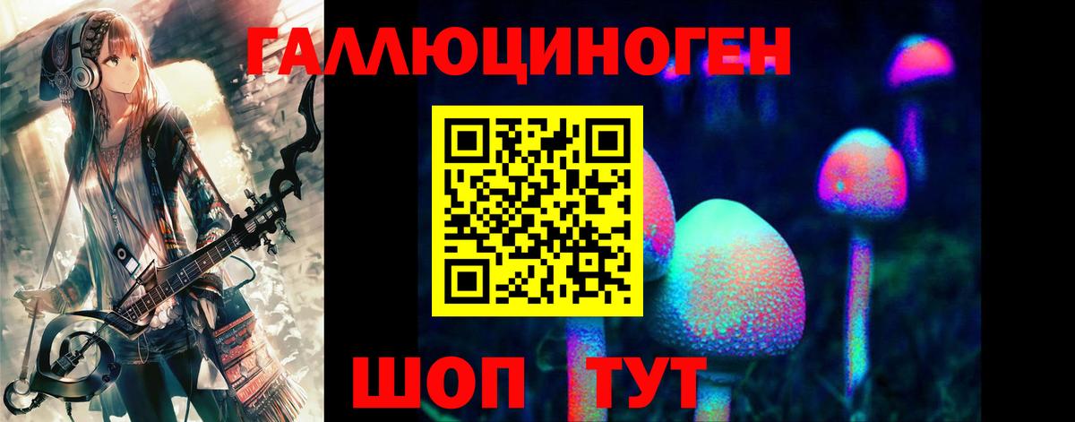 Галлюциногенные грибы Psilocybine cubensis  купить наркотики цена  Пушкино  Вход с VPN 